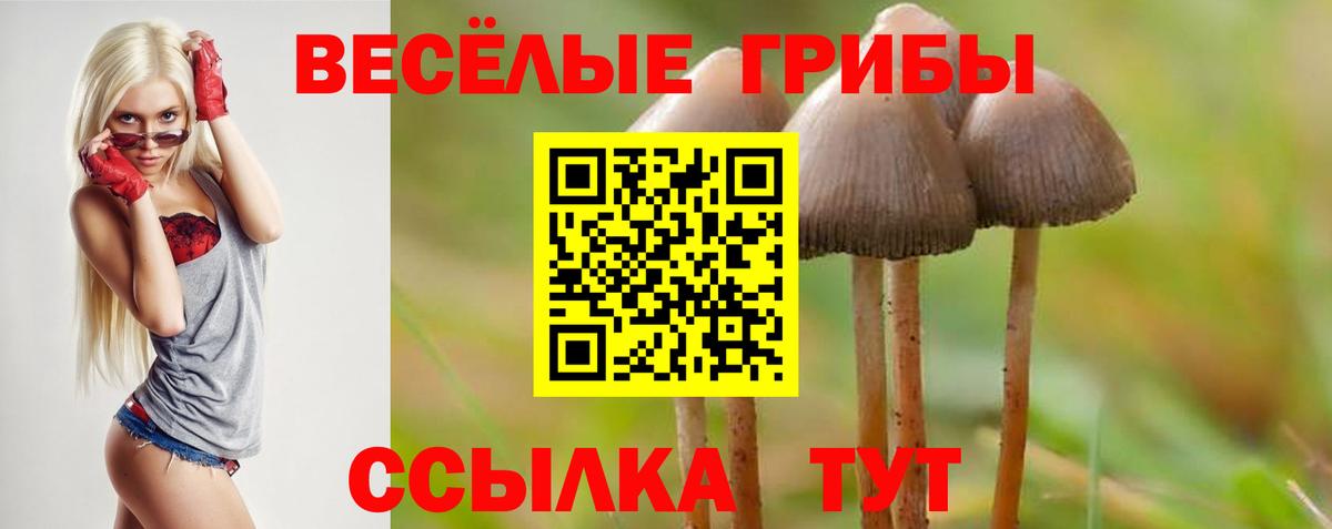 Галлюциногенные грибы Cubensis  Амурск  Псилоцибиновые грибы Psilocybine cubensis 